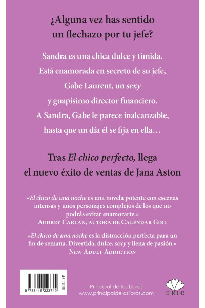 El chico de una noche